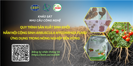 Khảo sát nhu cầu chuyển giao, ứng dụng “Quy trình sản xuất sinh khối nấm rễ nội cộng sinh Arbuscular Mycorrhizal ứng dụng trong nông nghiệp bền vững”